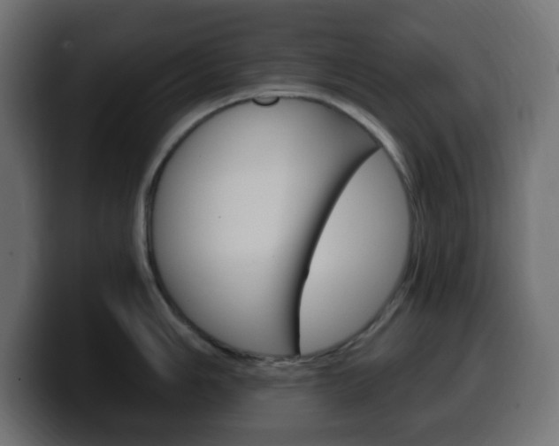 X0000100391006200806060830