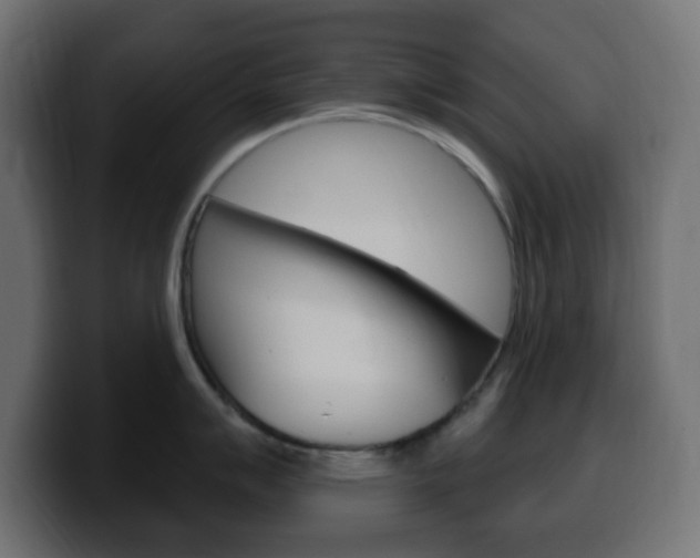 X0000100391007200806060830