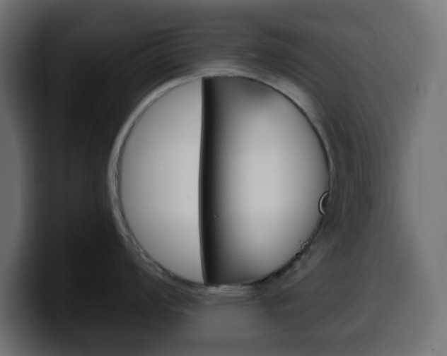 X0000100391008200806060829