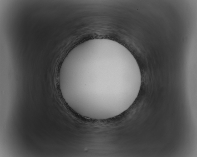 X0000100391009200806060829