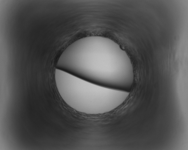 X0000100391010200806060829