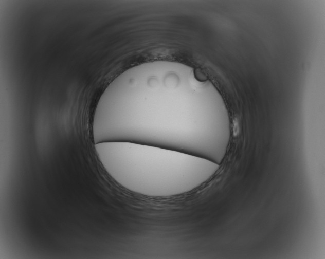 X0000100391011200806060829