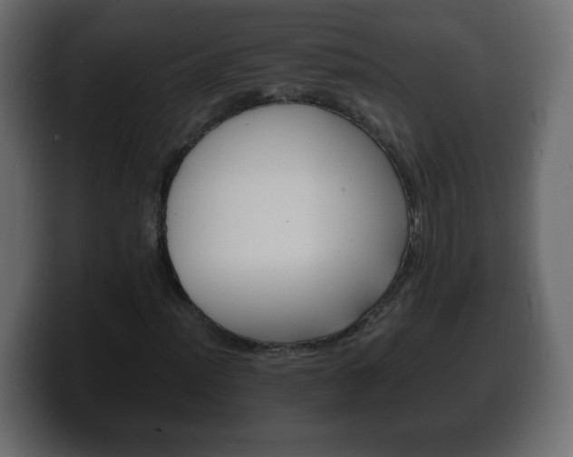 X0000100391012200806060829