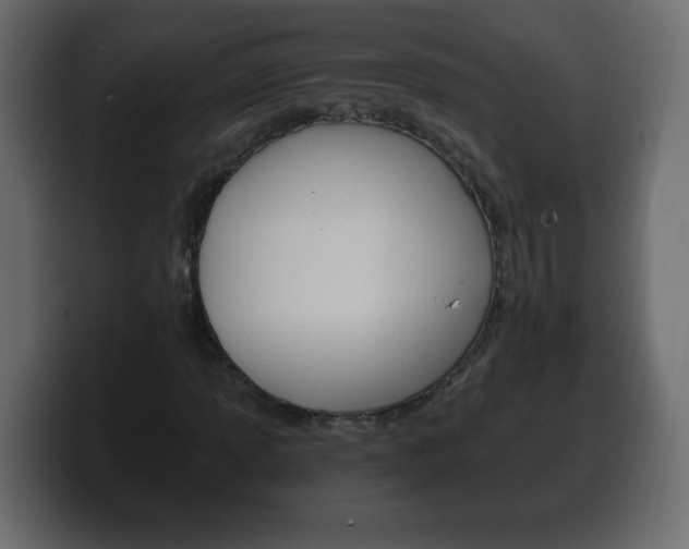 X0000100391013200806060829