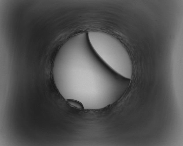 X0000100391014200806060829