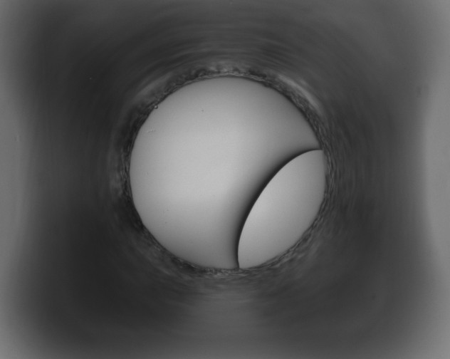 X0000100391015200806060829