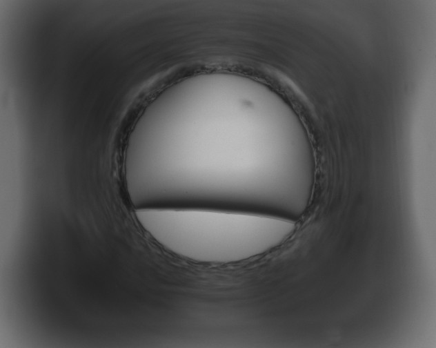 X0000100391016200806060829