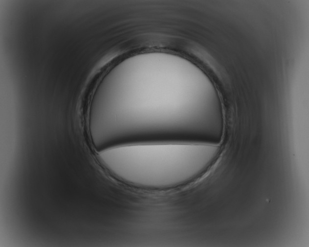X0000100391018200806060829