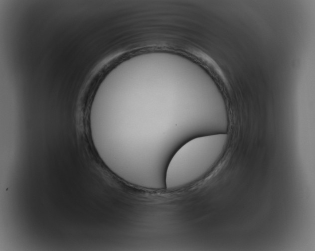 X0000100391019200806060829