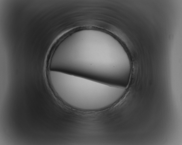 X0000100391020200806060829