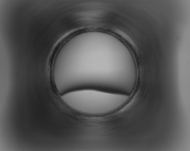 X0000100391021200806060829