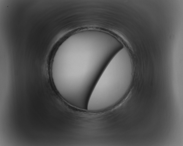 X0000100391022200806060829