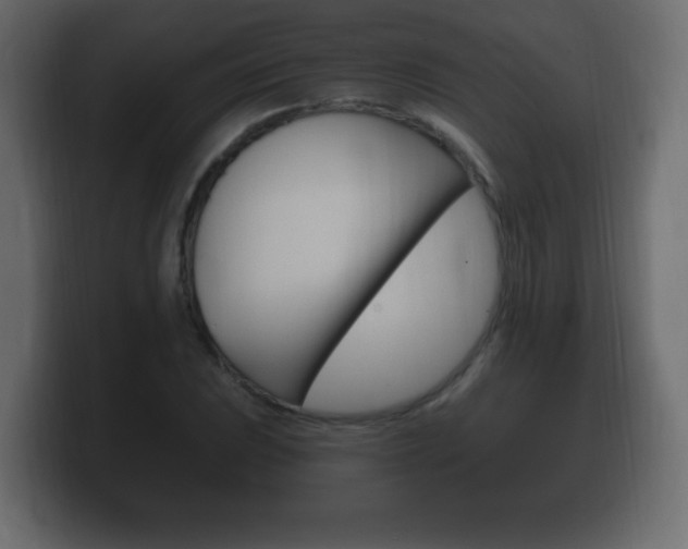 X0000100391023200806060829