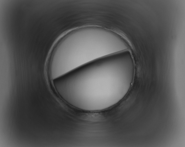X0000100391024200806060829