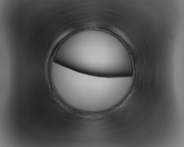 X0000100391026200806060829