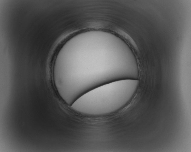X0000100391027200806060829