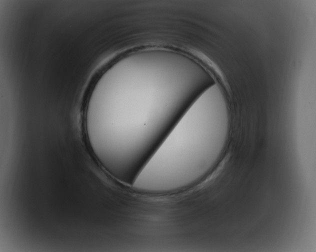 X0000100391029200806060829