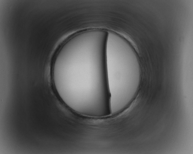 X0000100391030200806060829