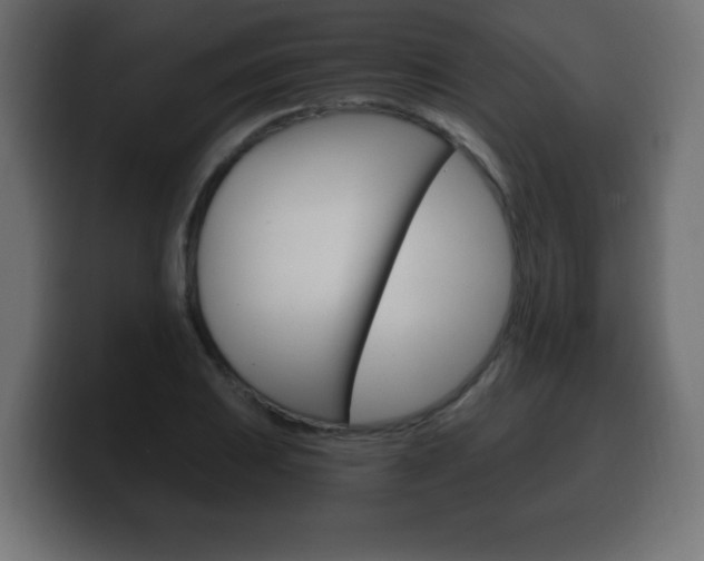 X0000100391031200806060829
