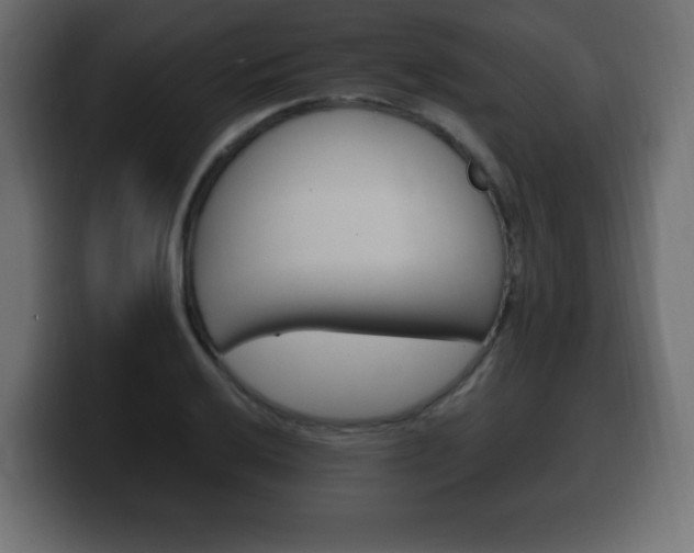 X0000100391032200806060829