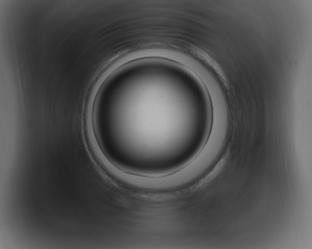 X0000100391033200806060829