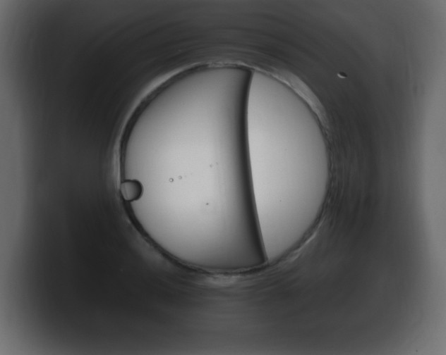 X0000100391036200806060829