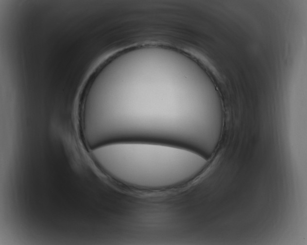 X0000100391038200806060829