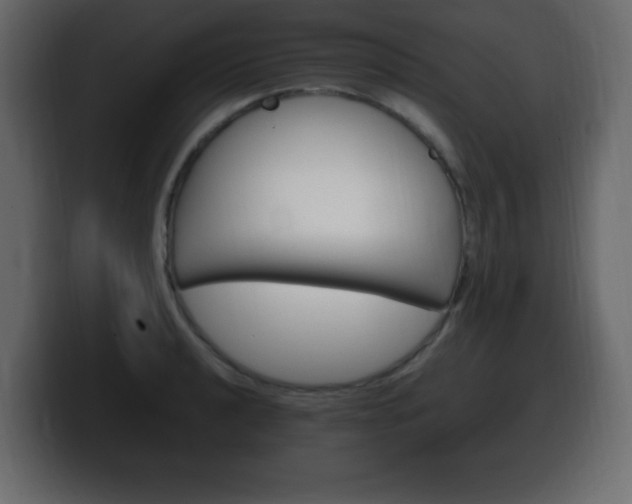 X0000100391040200806060829