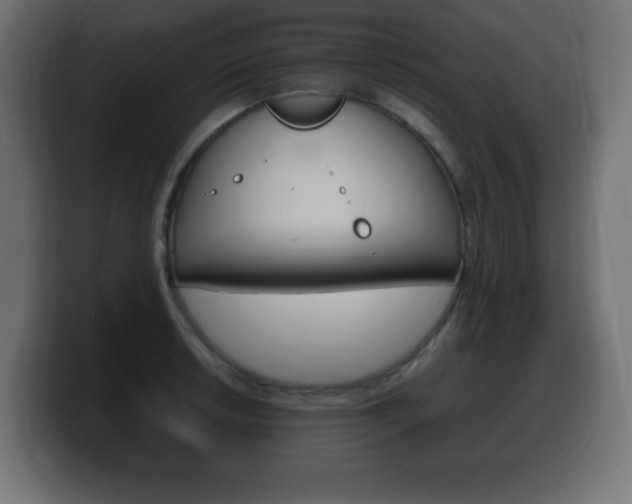 X0000100391042200806060829