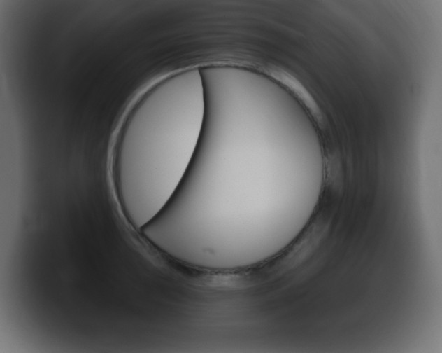 X0000100391043200806060829