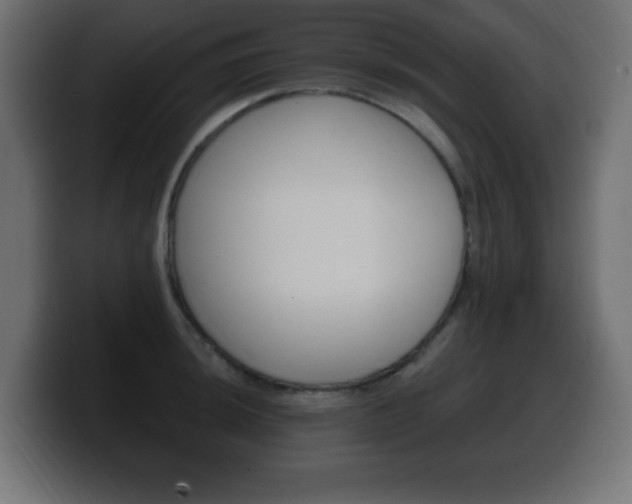 X0000100391044200806060829