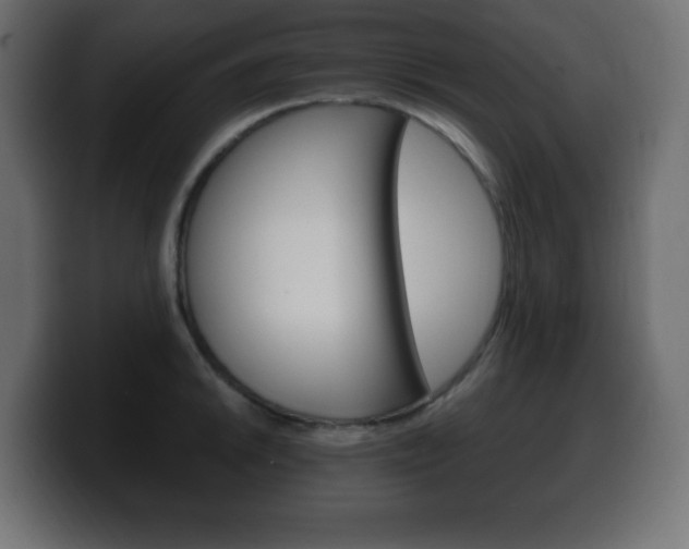 X0000100391046200806060829