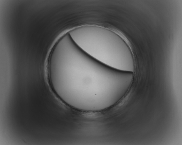 X0000100391048200806060829