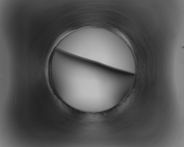 X0000100391050200806060829