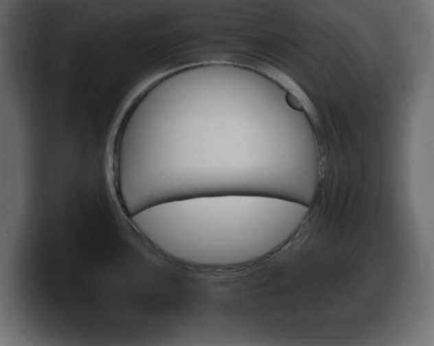 X0000100391051200806060829