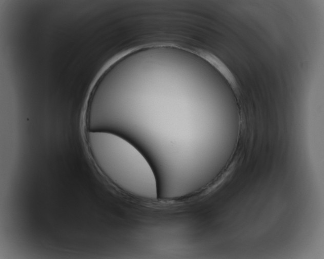 X0000100391052200806060829