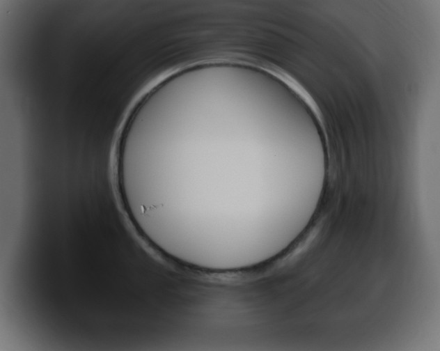X0000100391053200806060829
