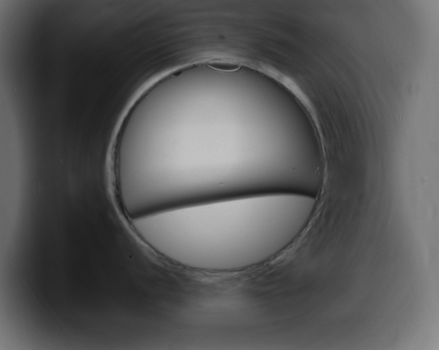 X0000100391056200806060829