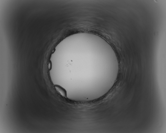 X0000100391057200806060829