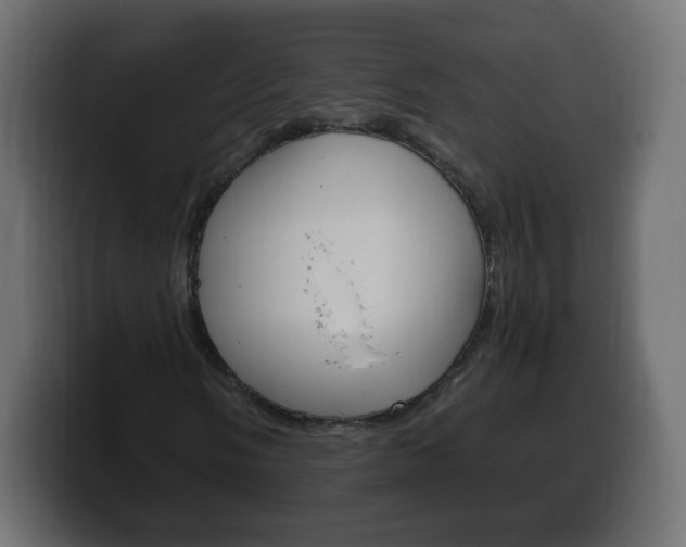 X0000100391058200806060829