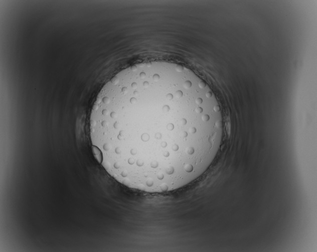X0000100391059200806060829