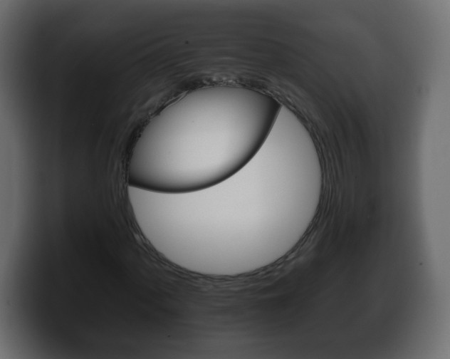 X0000100391060200806060829