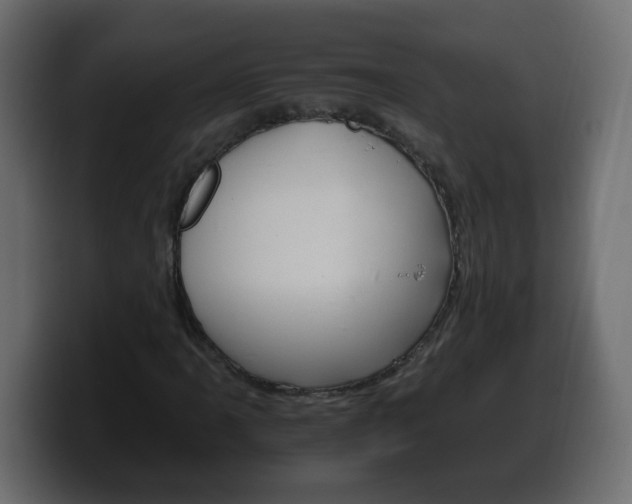 X0000100391061200806060829