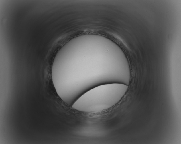 X0000100391063200806060829