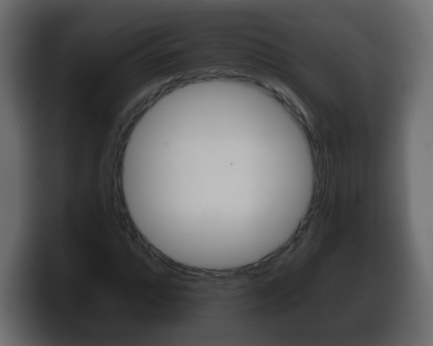 X0000100391064200806060829