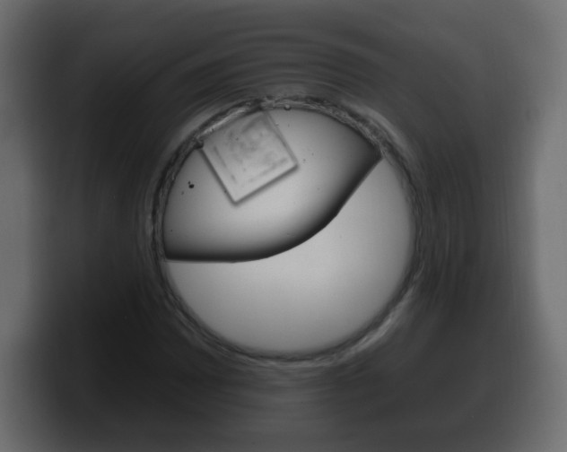X0000100391065200806060829