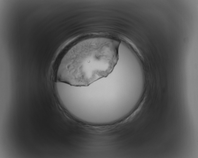 X0000100391066200806060829