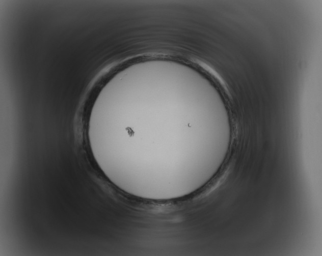 X0000100391067200806060829