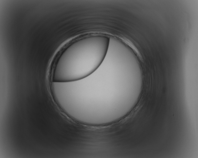 X0000100391068200806060829