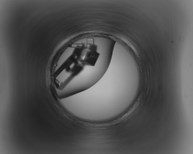X0000100391069200806060829